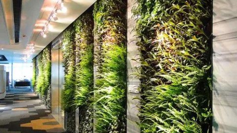 仿真绿植墙设计方案不用愁，这5个落地细节让你告别塑料感